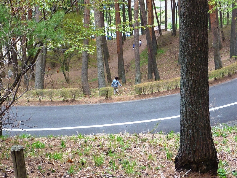 P1200012_R