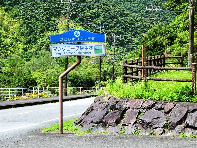 CIMG6919_R