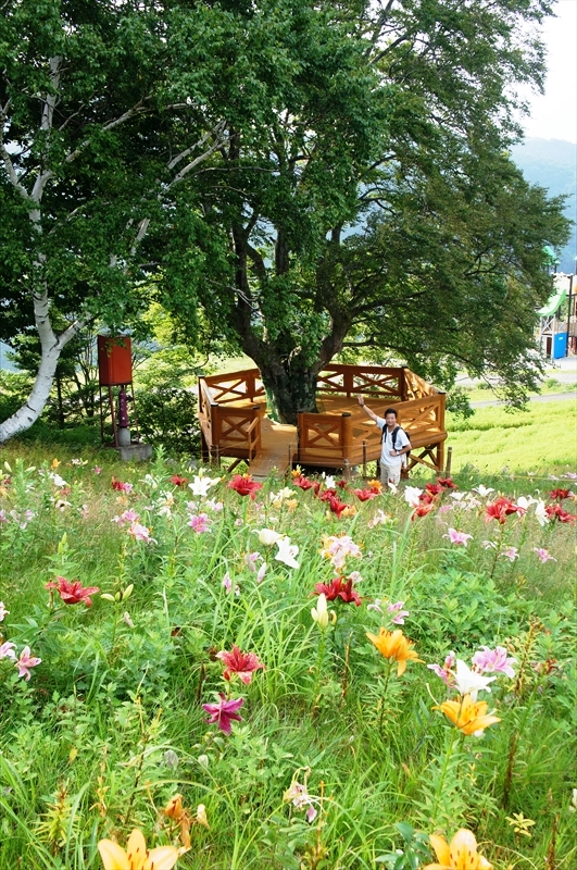 DSC07427_R