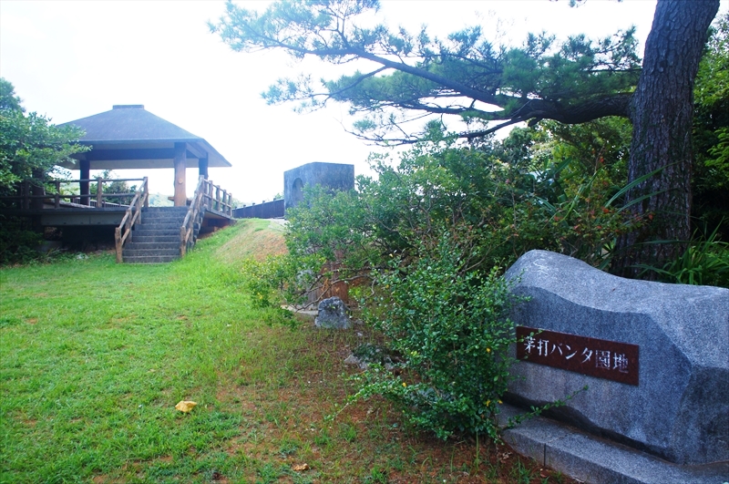 DSC00843_R