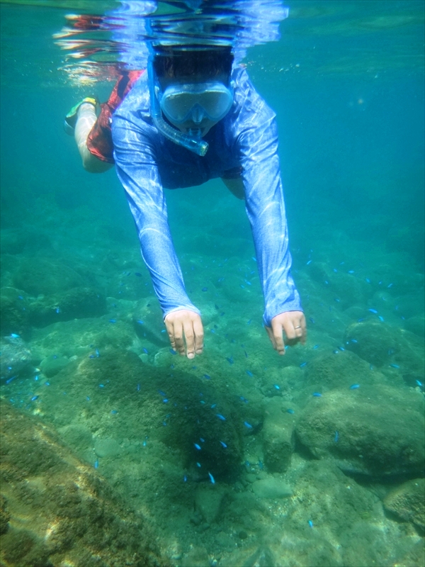 DSC03867_R
