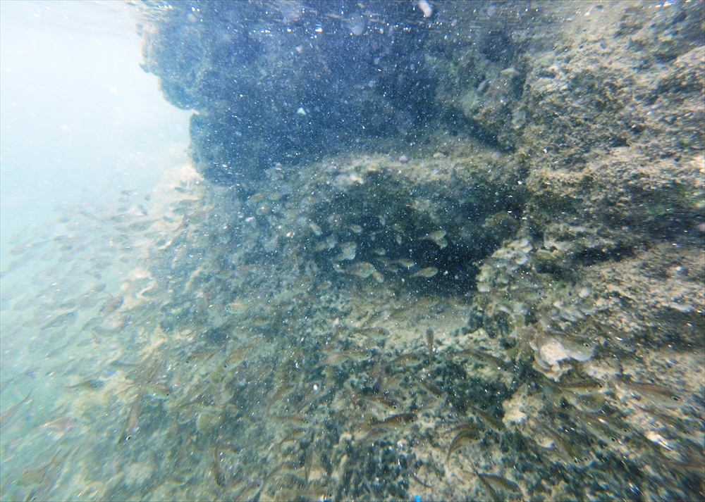 CIMG3576_R