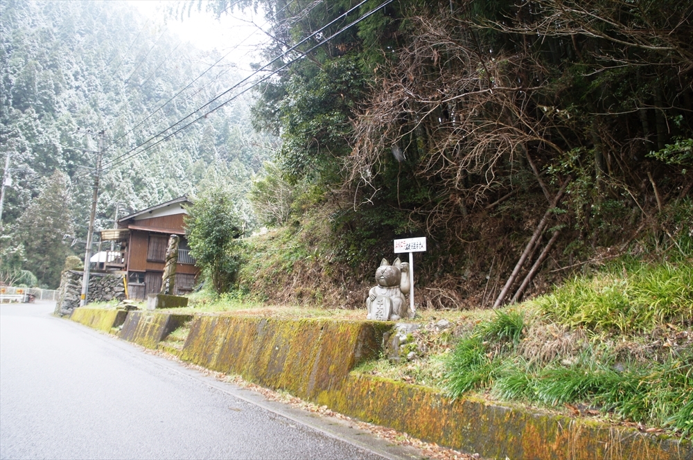 DSC01123_R