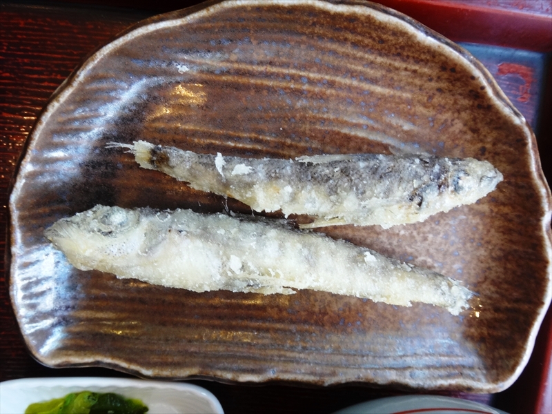 DSC06133_R