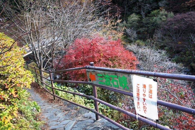 DSC01461_R