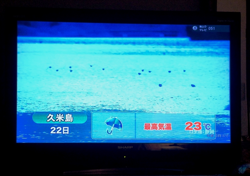 DSC03347_R