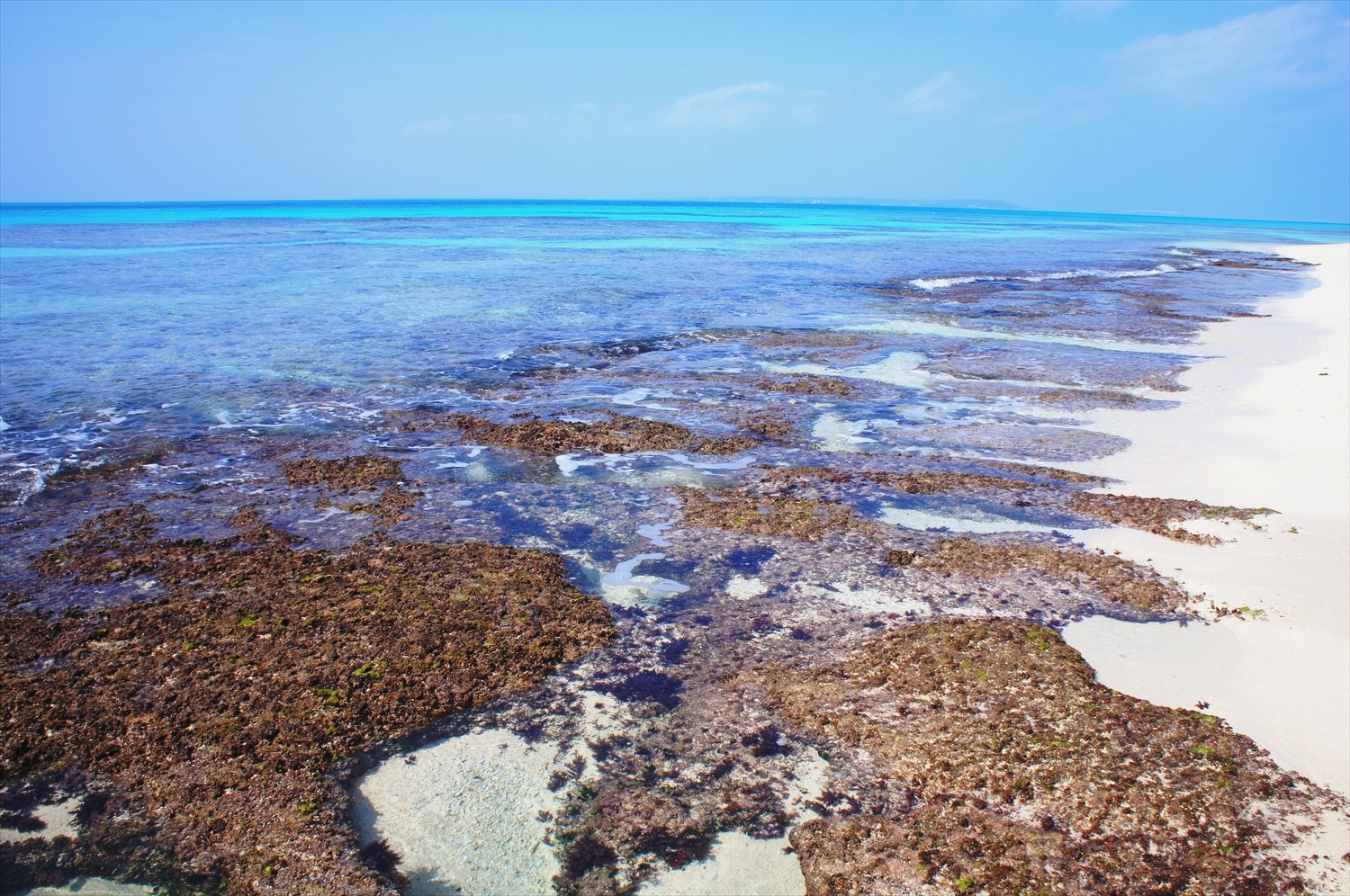 DSC00964_R