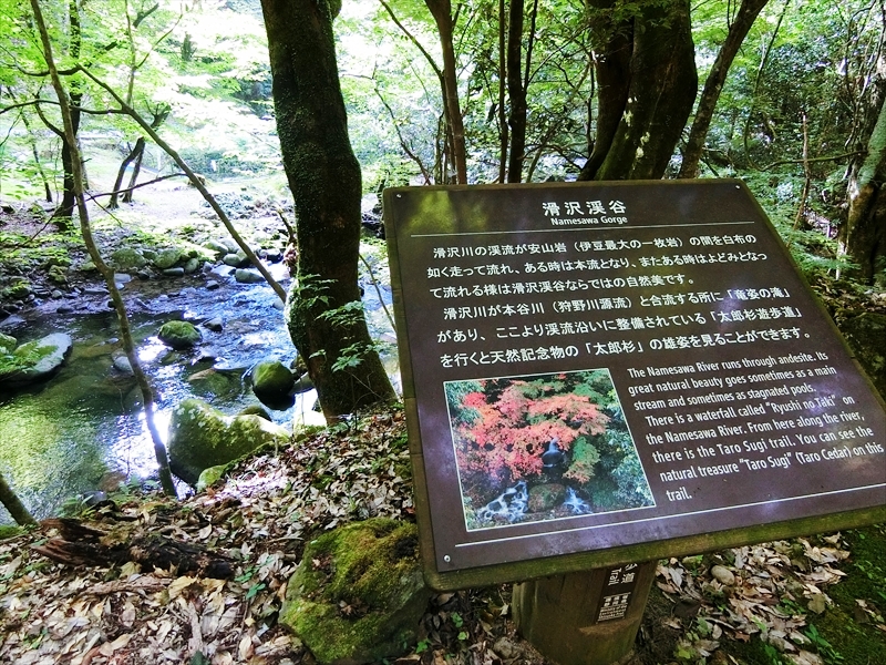 CIMG9258_R