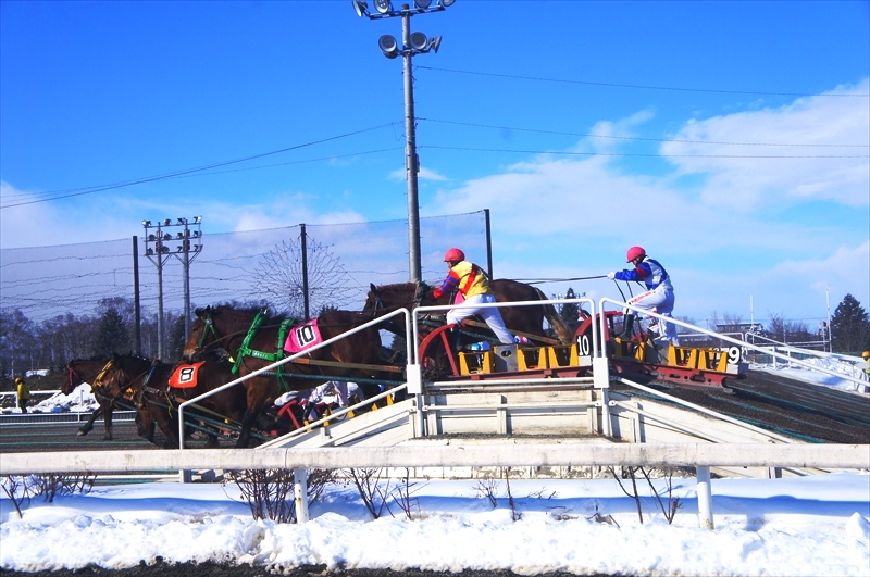 DSC00194_R