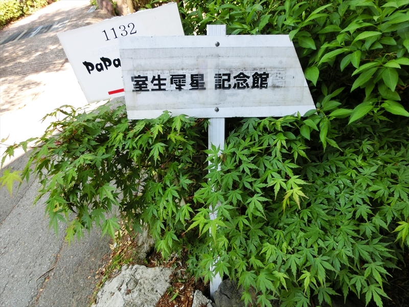 CIMG3969_R