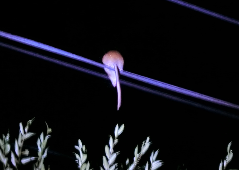 CIMG5221_R