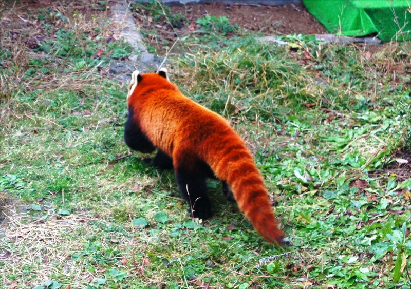 DSC00066_R