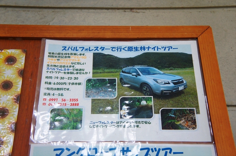 DSC00275_R