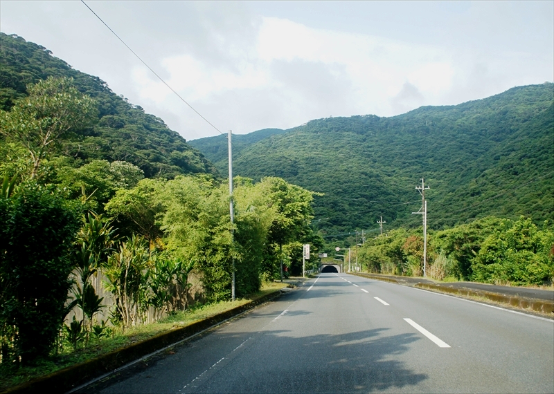 DSC00340_R