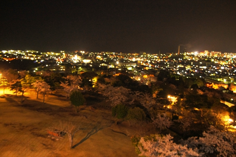 DSC04145_R