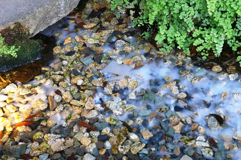 DSC00126_R