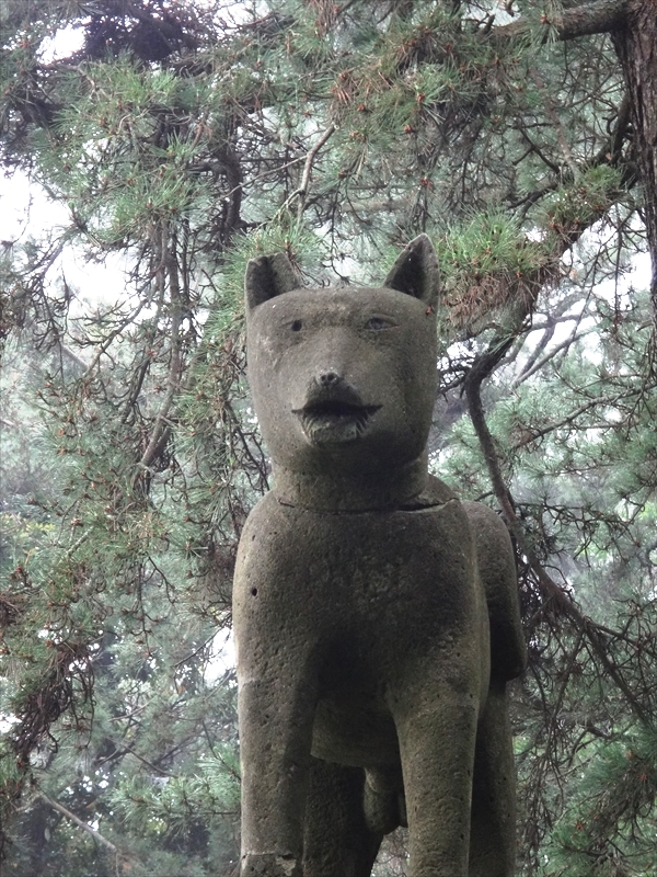 DSC06011_R