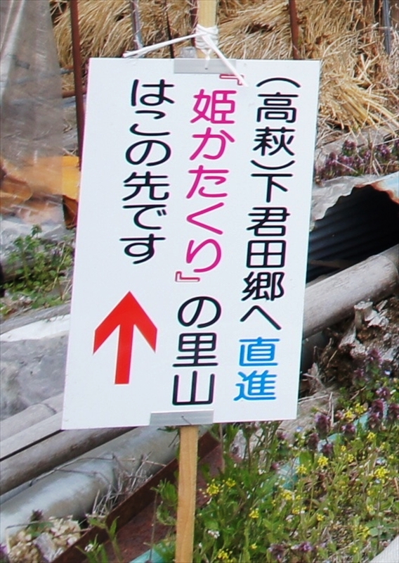 DSC03914_R
