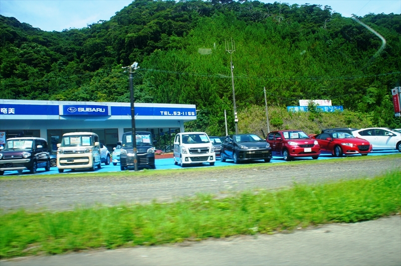 DSC00051_R