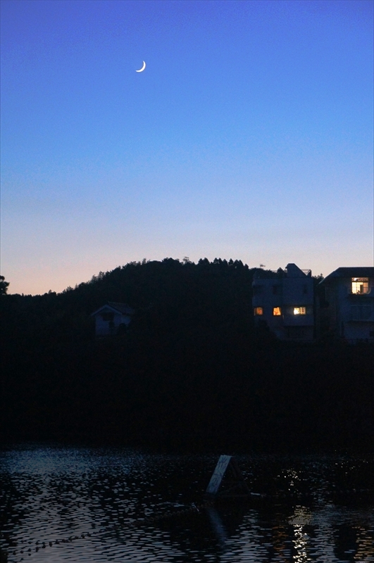 DSC02946_R