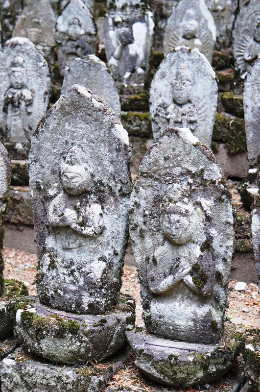 DSC06790_R