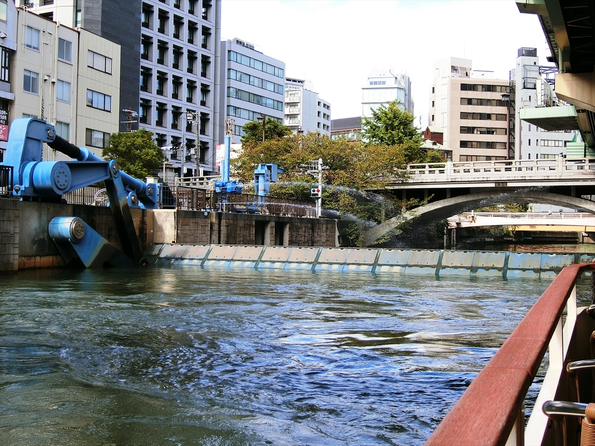 CIMG8008_R