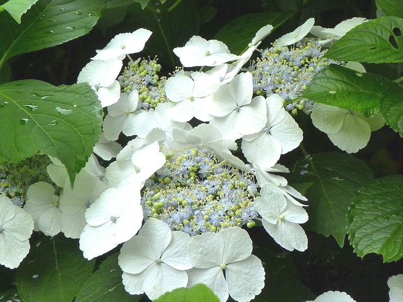 P1060380_R