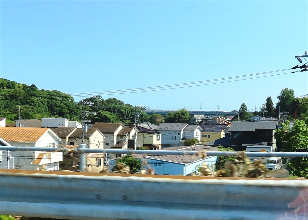 IMG_7073_R
