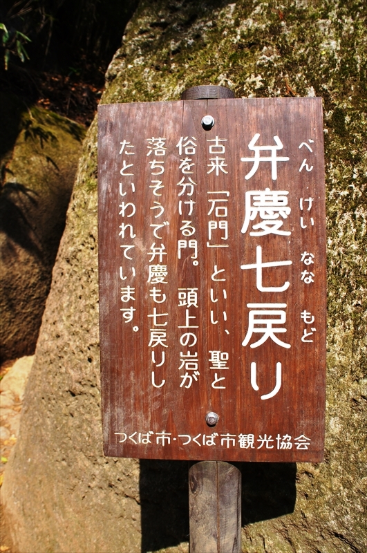 DSC04377_R
