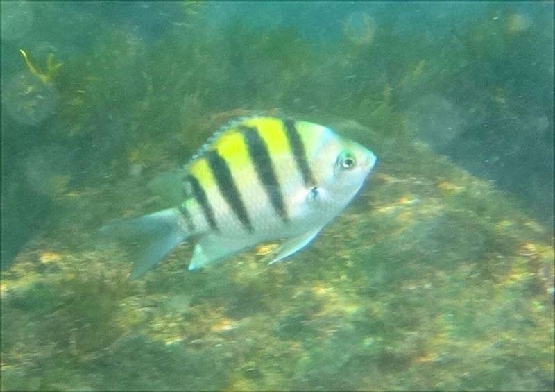 DSC07305_R