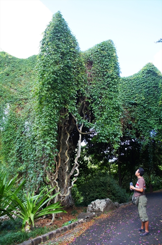 DSC08284_R