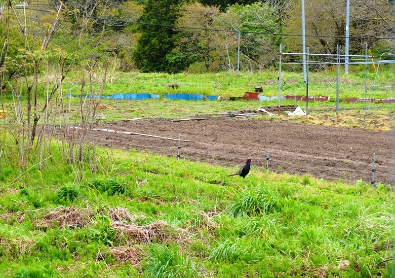 DSC01972_R