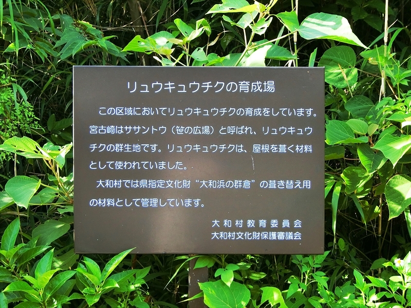CIMG4776_R