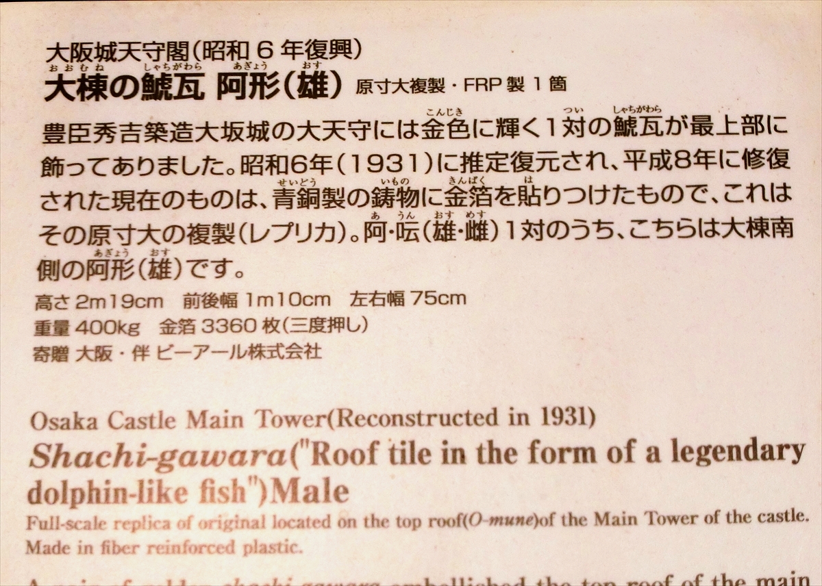 CIMG8182_R
