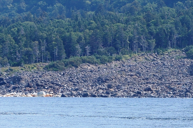 DSC00561_R