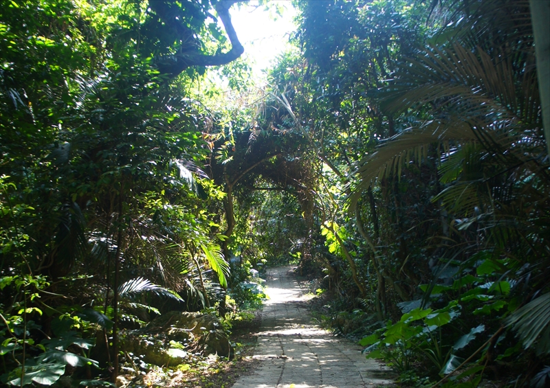 DSC00933_R