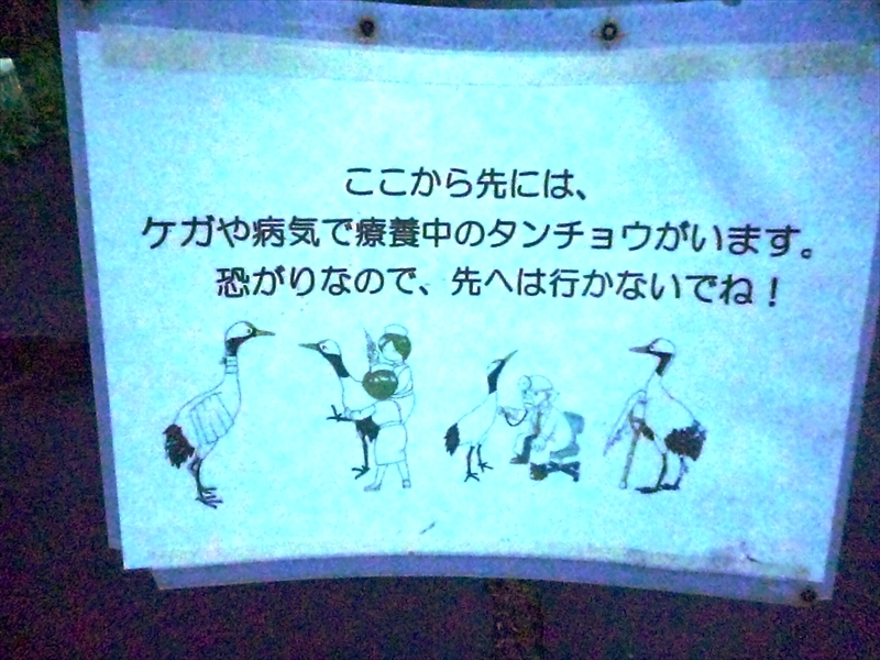 P1130528_R