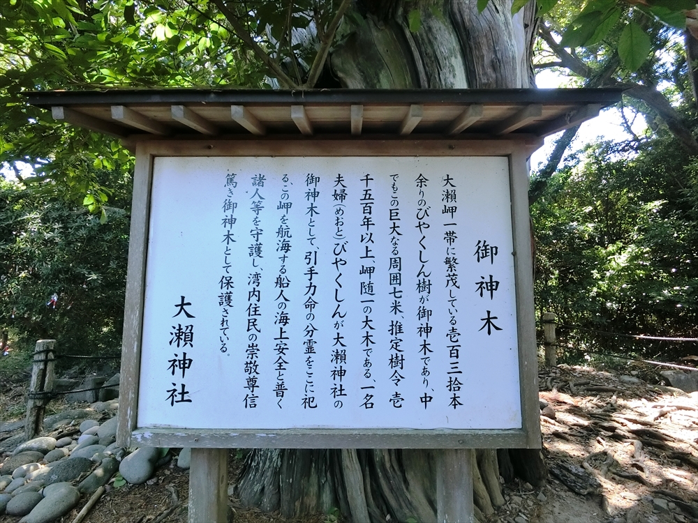 CIMG3777_R