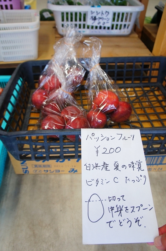 DSC07580_R