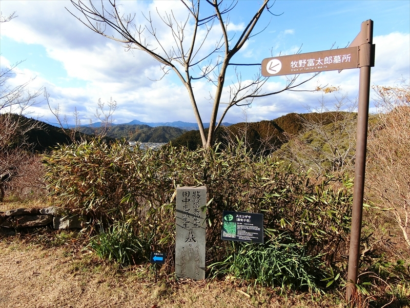 CIMG6024_R