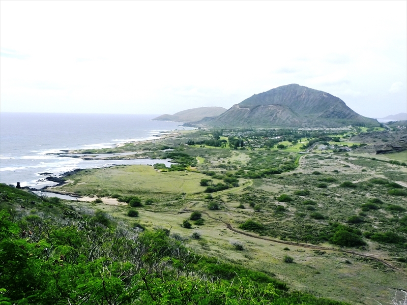 P1090703_R