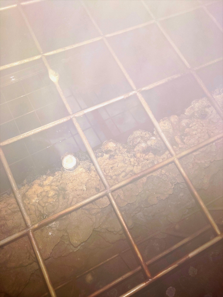 20260831_172209_R