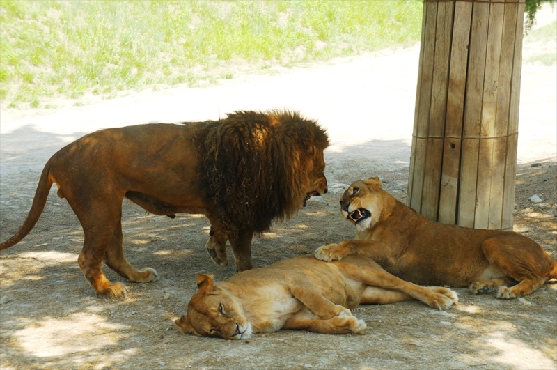 DSC08691_R