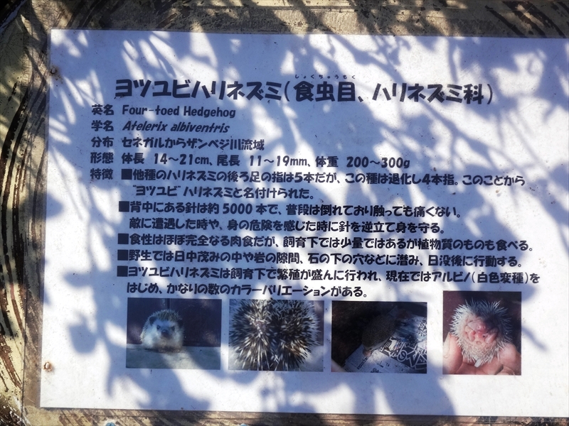 DSC05714_R