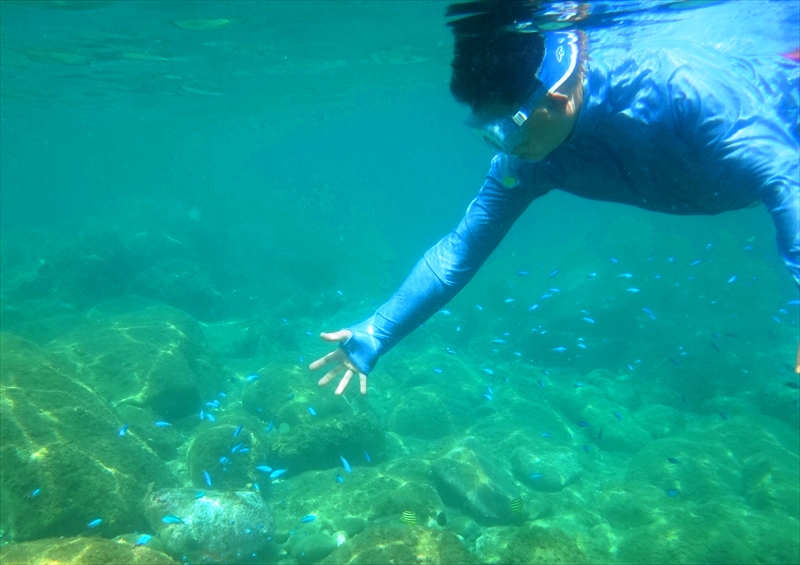 DSC03865_R