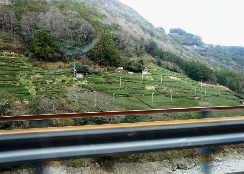 DSC00791_R
