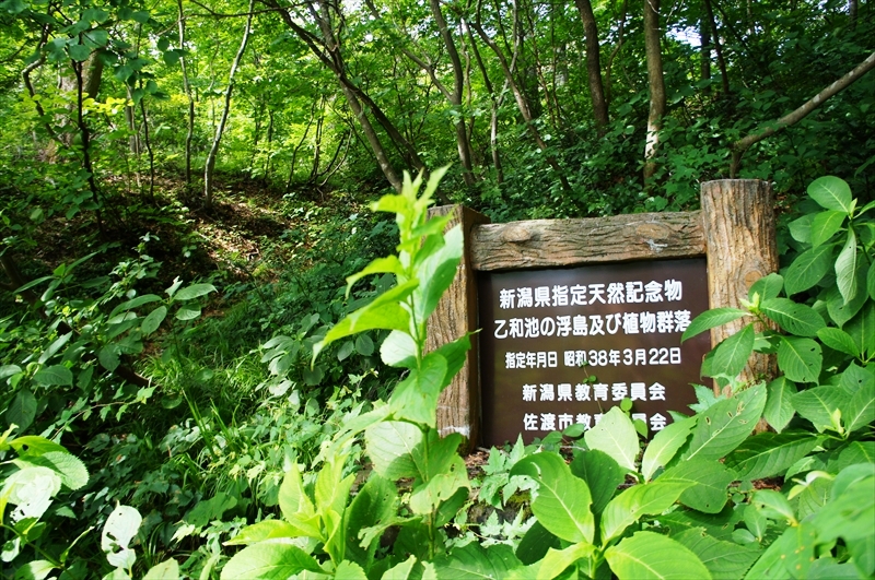 DSC05476_R