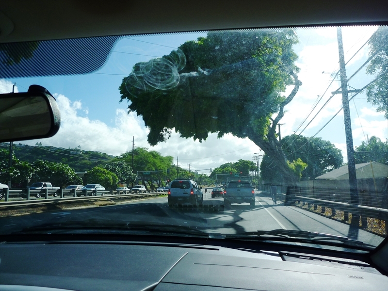 P1020029_R