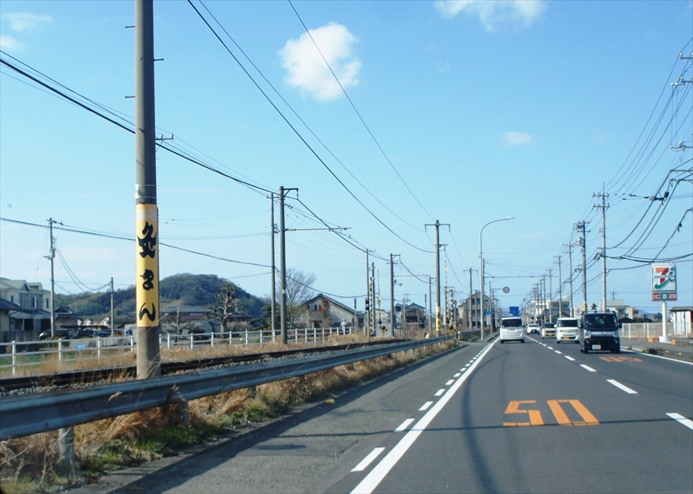 DSC01239_R