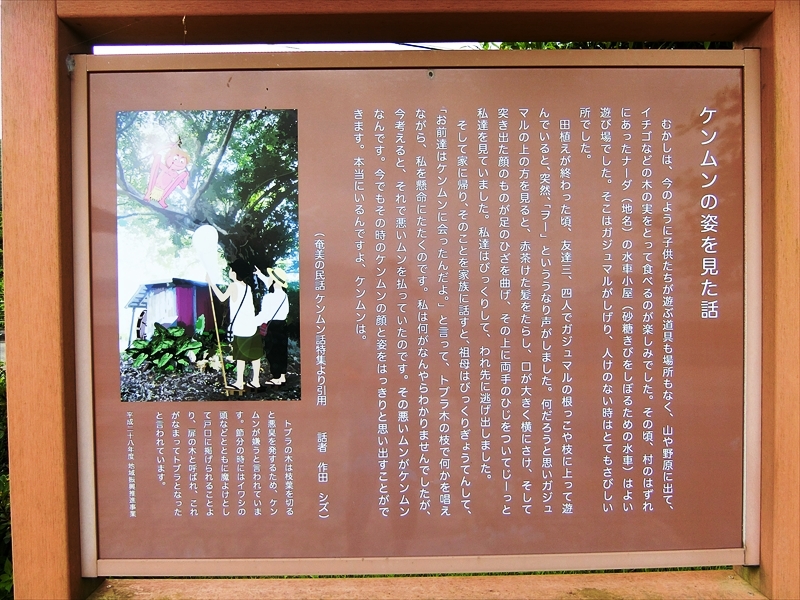 CIMG5361_R
